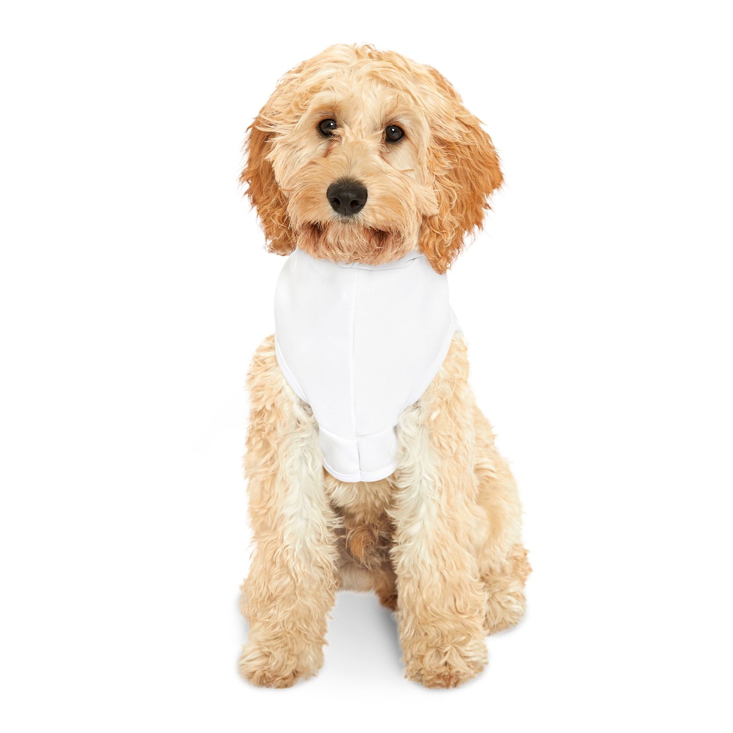Customizable Heart Pet Hoodie - Personalized Dog Apparel for Style & Comfort